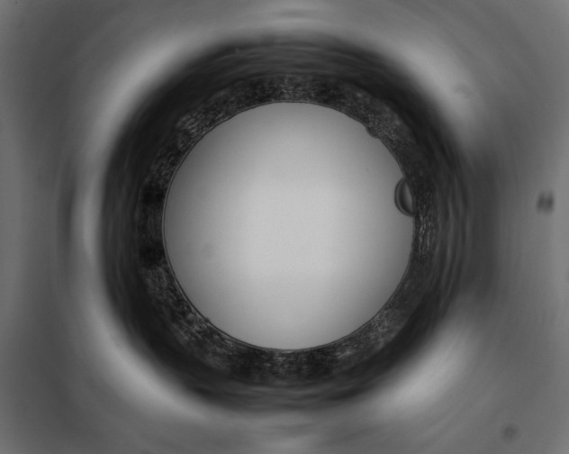 X0000098080383200804251519