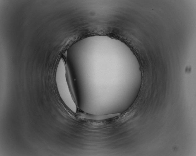 X0000098080384200804251519