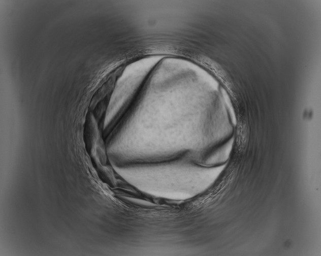 X0000098080385200804251518