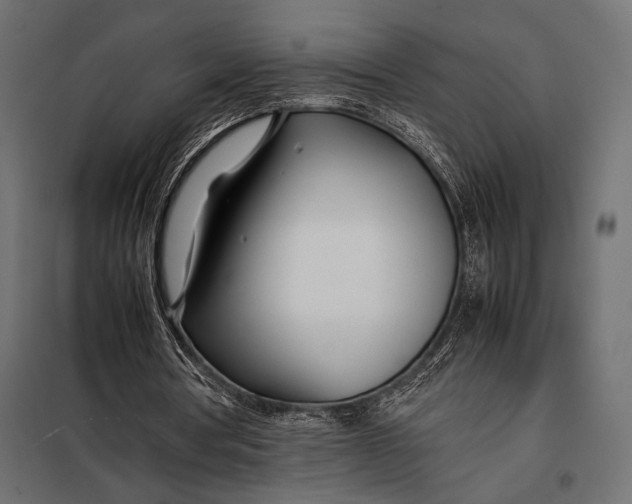 X0000098080386200804251518