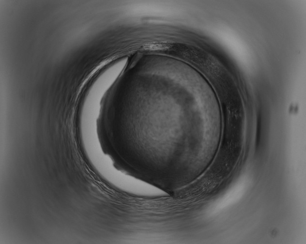 X0000098080387200804251518