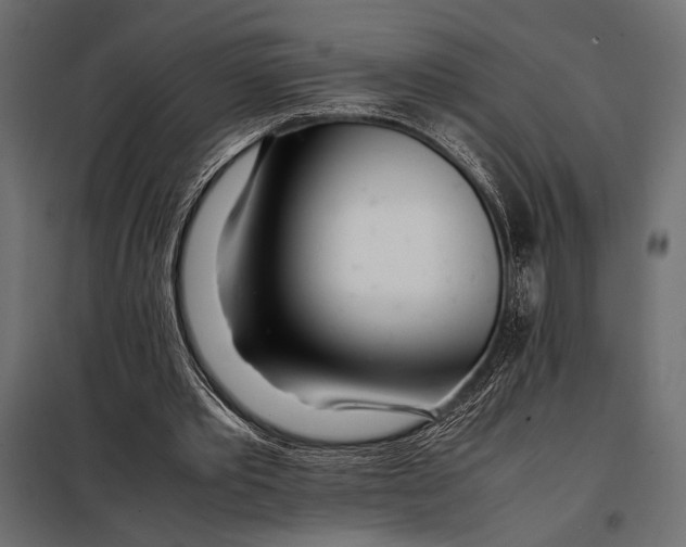 X0000098080389200804251518