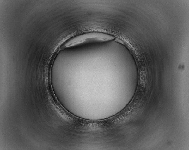 X0000098080390200804251518