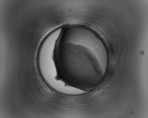 X0000098080391200804251518