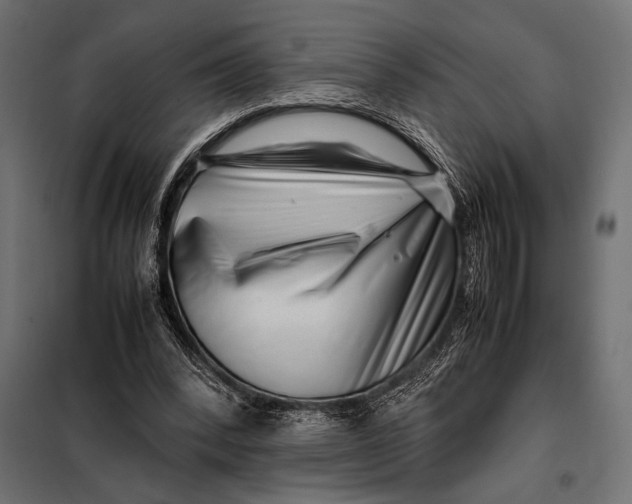 X0000098080392200804251518