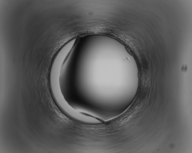 X0000098080393200804251518