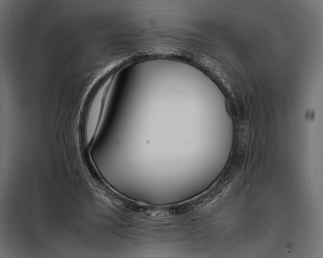 X0000098080395200804251518