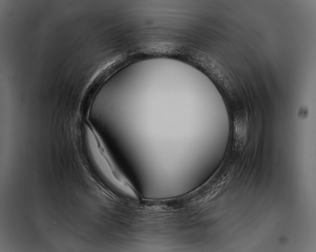 X0000098080396200804251518