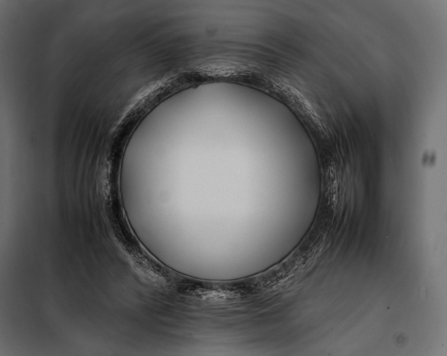 X0000098080400200804251518