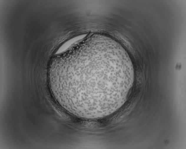 X0000098080401200804251518