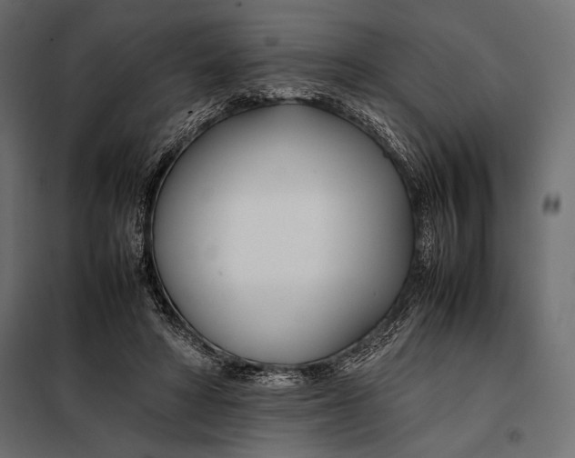 X0000098080402200804251518