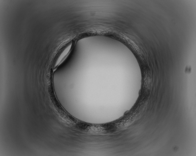 X0000098080403200804251518