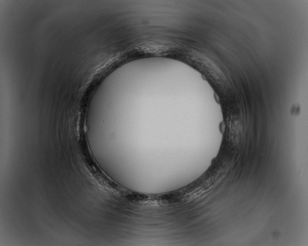 X0000098080404200804251518