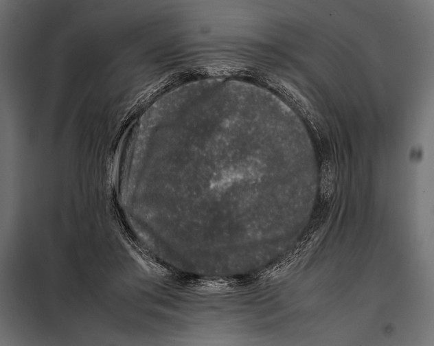 X0000098080405200804251518