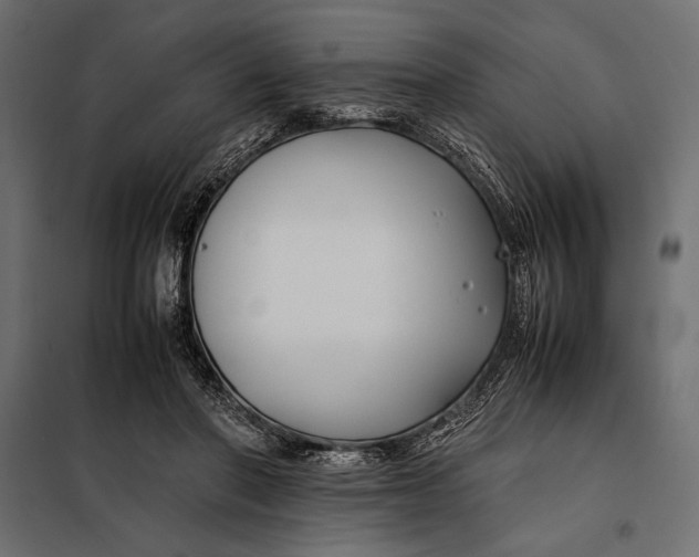 X0000098080406200804251518