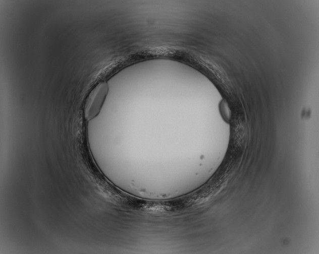 X0000098080407200804251518