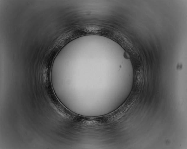 X0000098080408200804251518