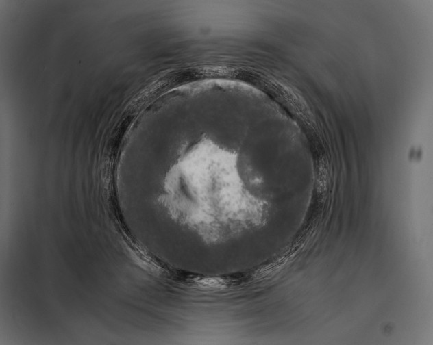 X0000098080409200804251518