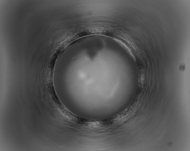 X0000098080411200804251518