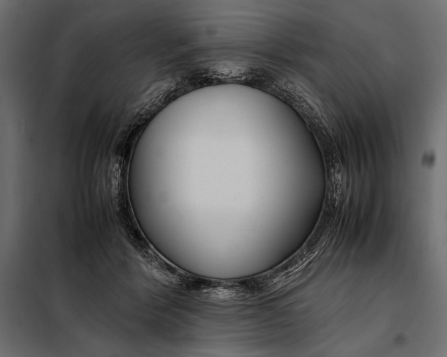 X0000098080412200804251518