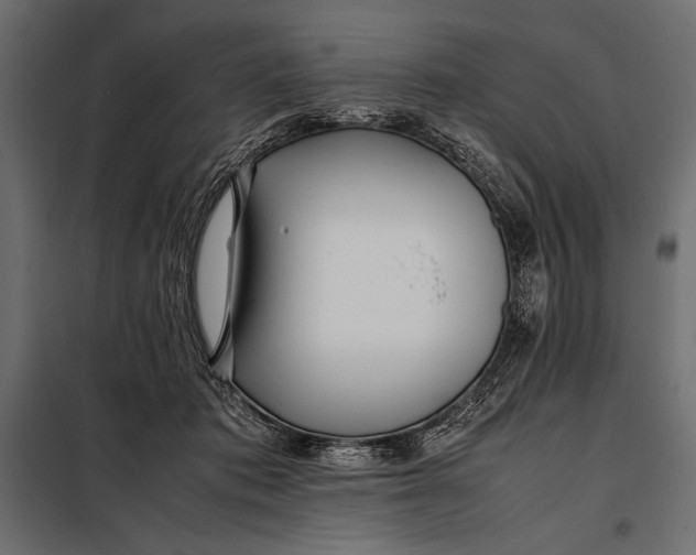 X0000098080413200804251518