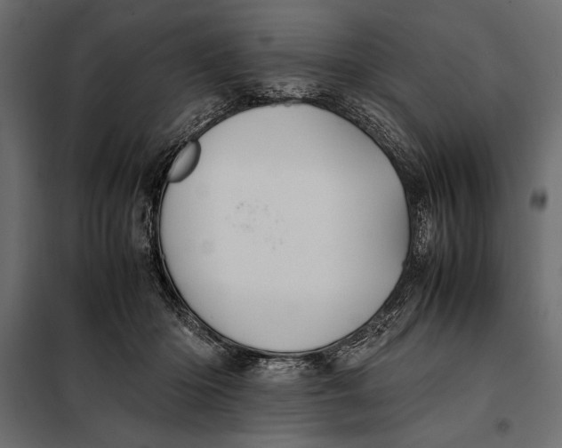 X0000098080414200804251518