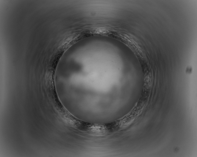 X0000098080415200804251518