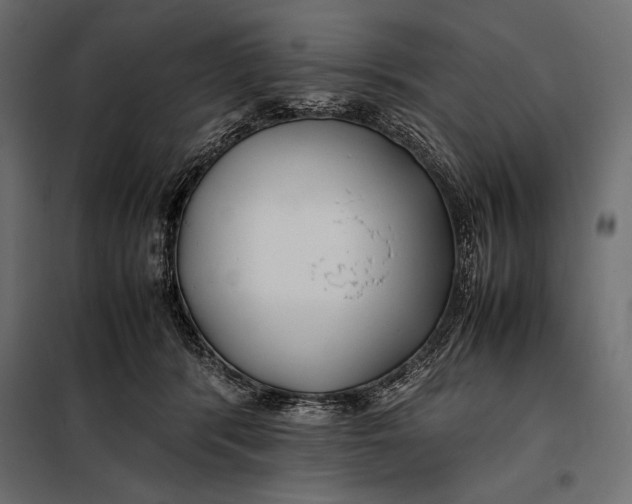 X0000098080416200804251518