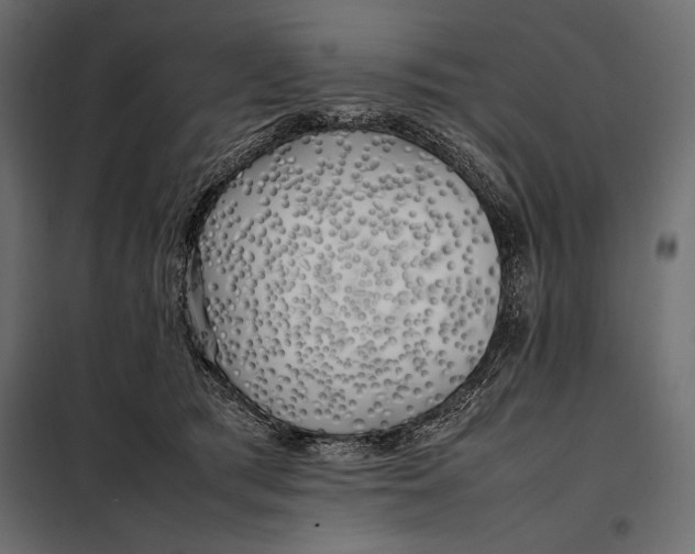 X0000098080417200804251518