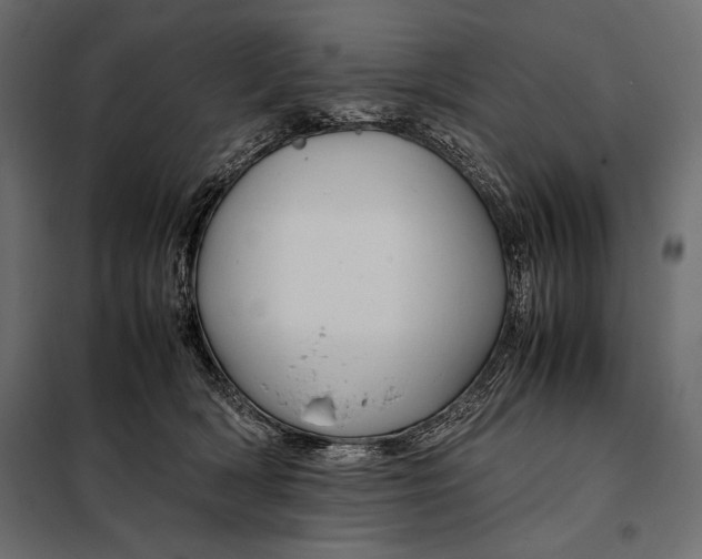 X0000098080418200804251518