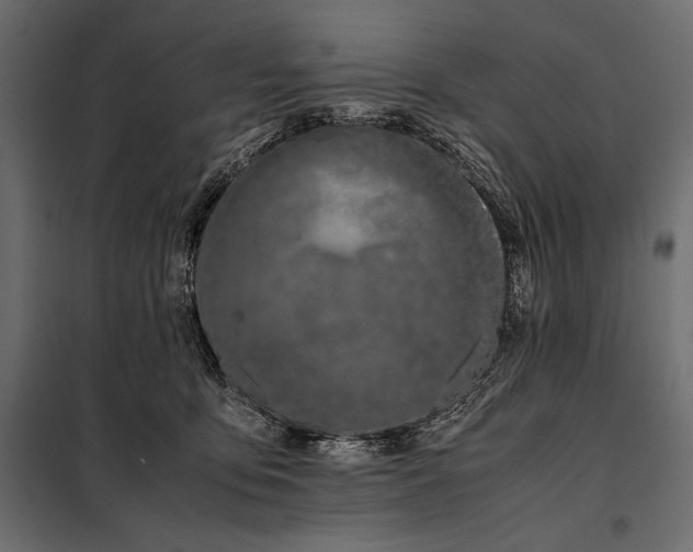 X0000098080419200804251518