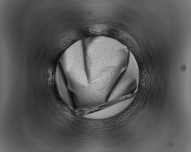 X0000098080420200804251518