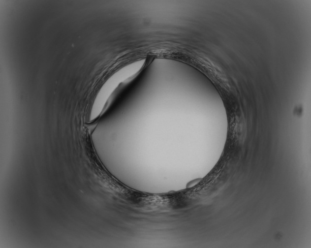 X0000098080421200804251517