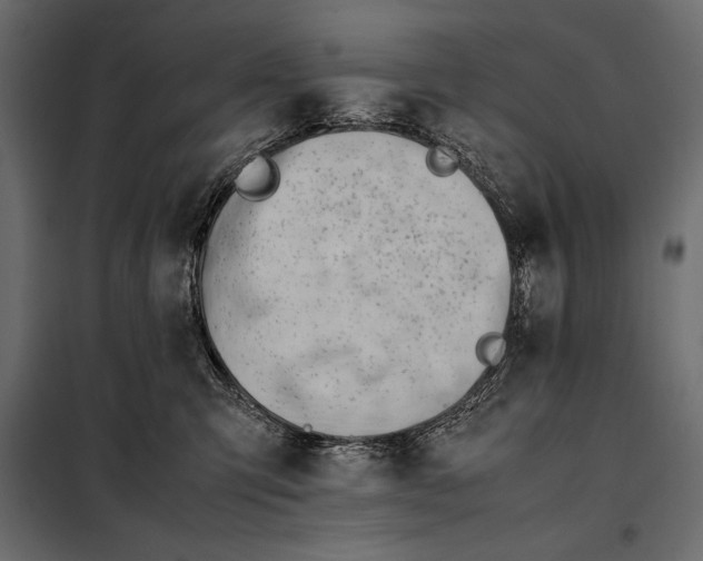 X0000098080423200804251517