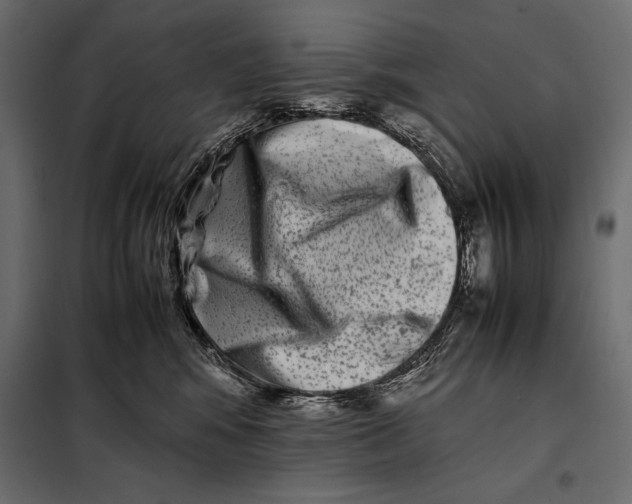 X0000098080424200804251517