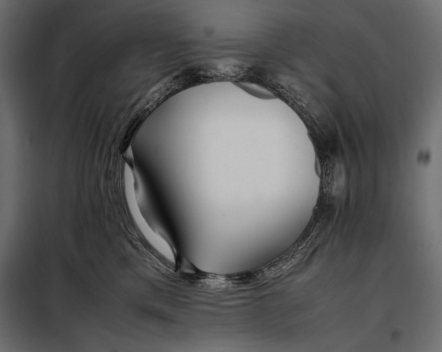 X0000098080425200804251517