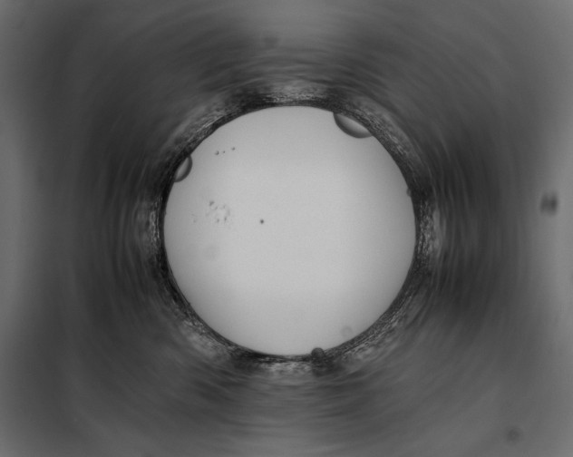 X0000098080426200804251517