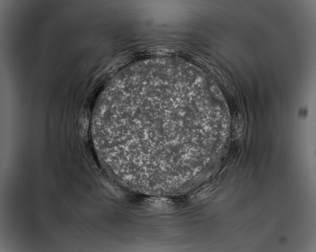 X0000098080427200804251517