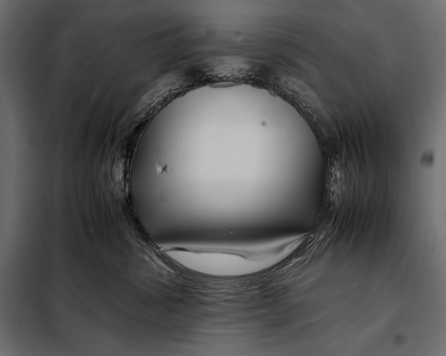 X0000098080428200804251517