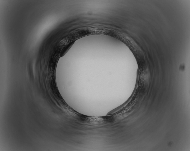 X0000098080429200804251517