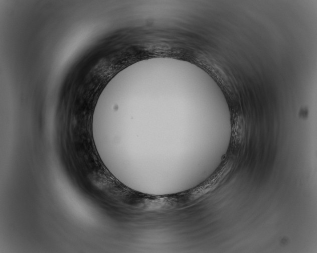 X0000098080430200804251517