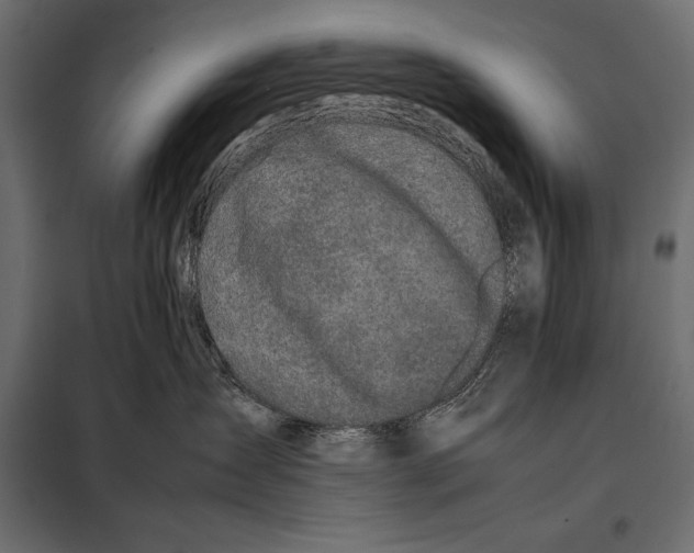 X0000098080431200804251517