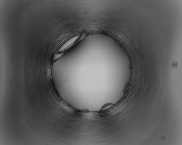 X0000098080432200804251517