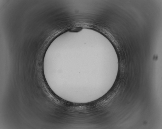 X0000098080433200804251517