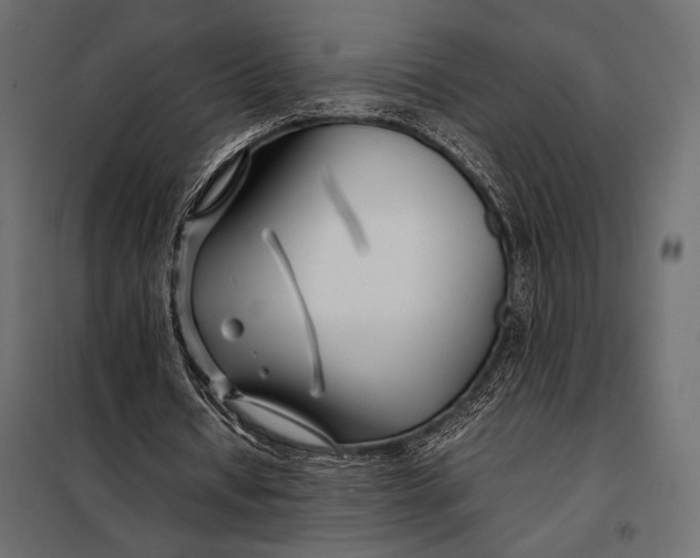 X0000098080434200804251517