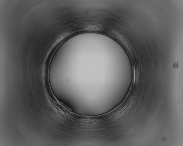 X0000098080435200804251517