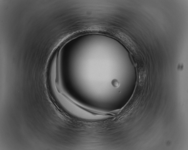 X0000098080436200804251517