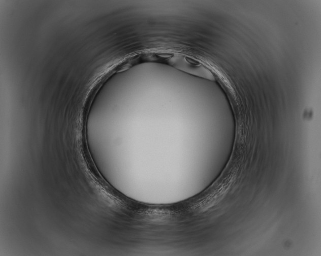 X0000098080437200804251517