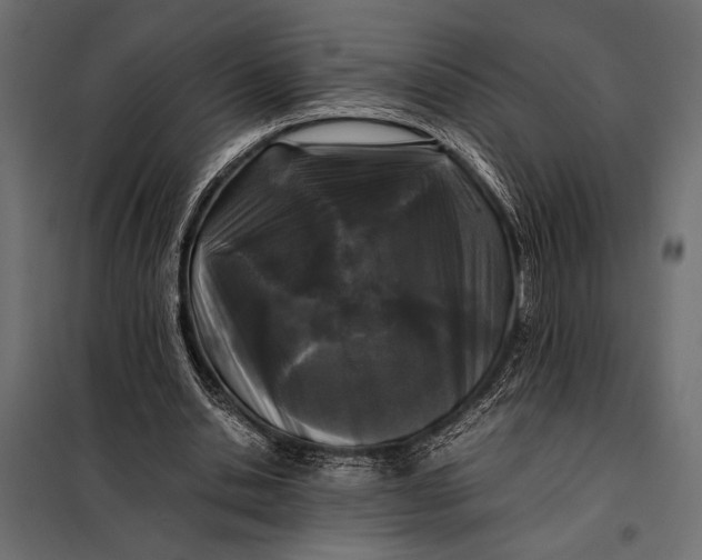 X0000098080438200804251517