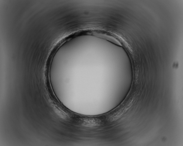 X0000098080439200804251517